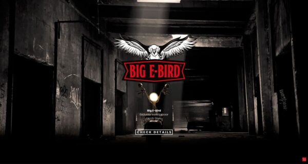 Logo ontwerp, ontwikkeling website en productfotografie | Big E-Bird