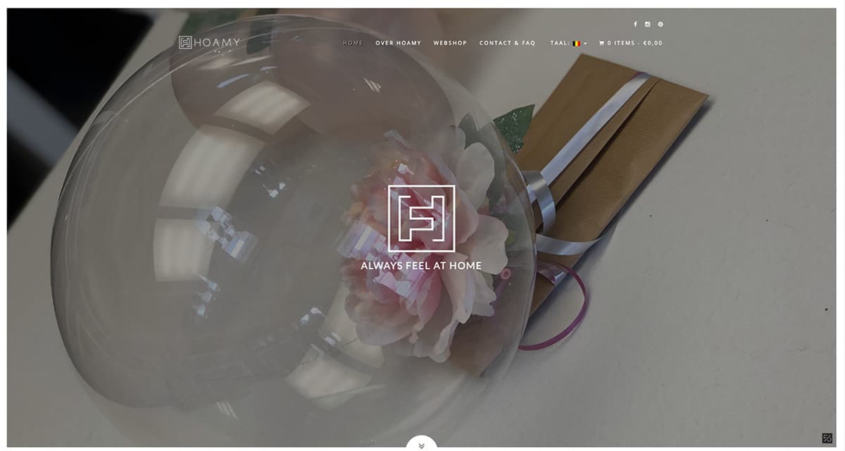 Ontwikkeling van een stijlvolle webshop | Hoamy