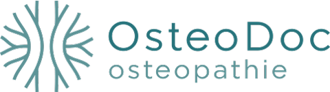 OsteoDoc Zeist - Ontwikkeling logo, huisstijl en website - Blok56